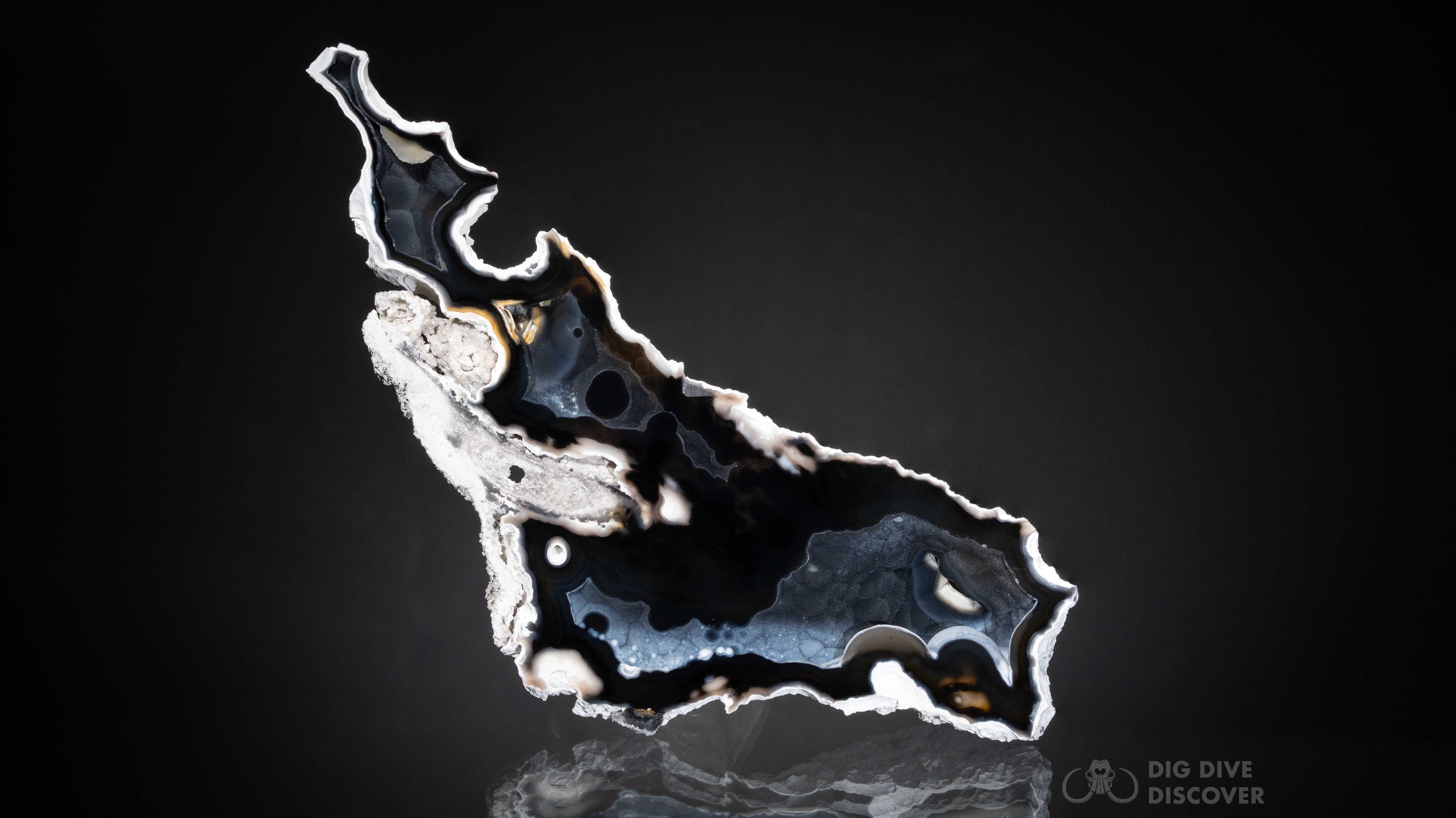 Ways Specimens Can Be Finished: Natural Finish, Archival Seal, or Mirror Polish
