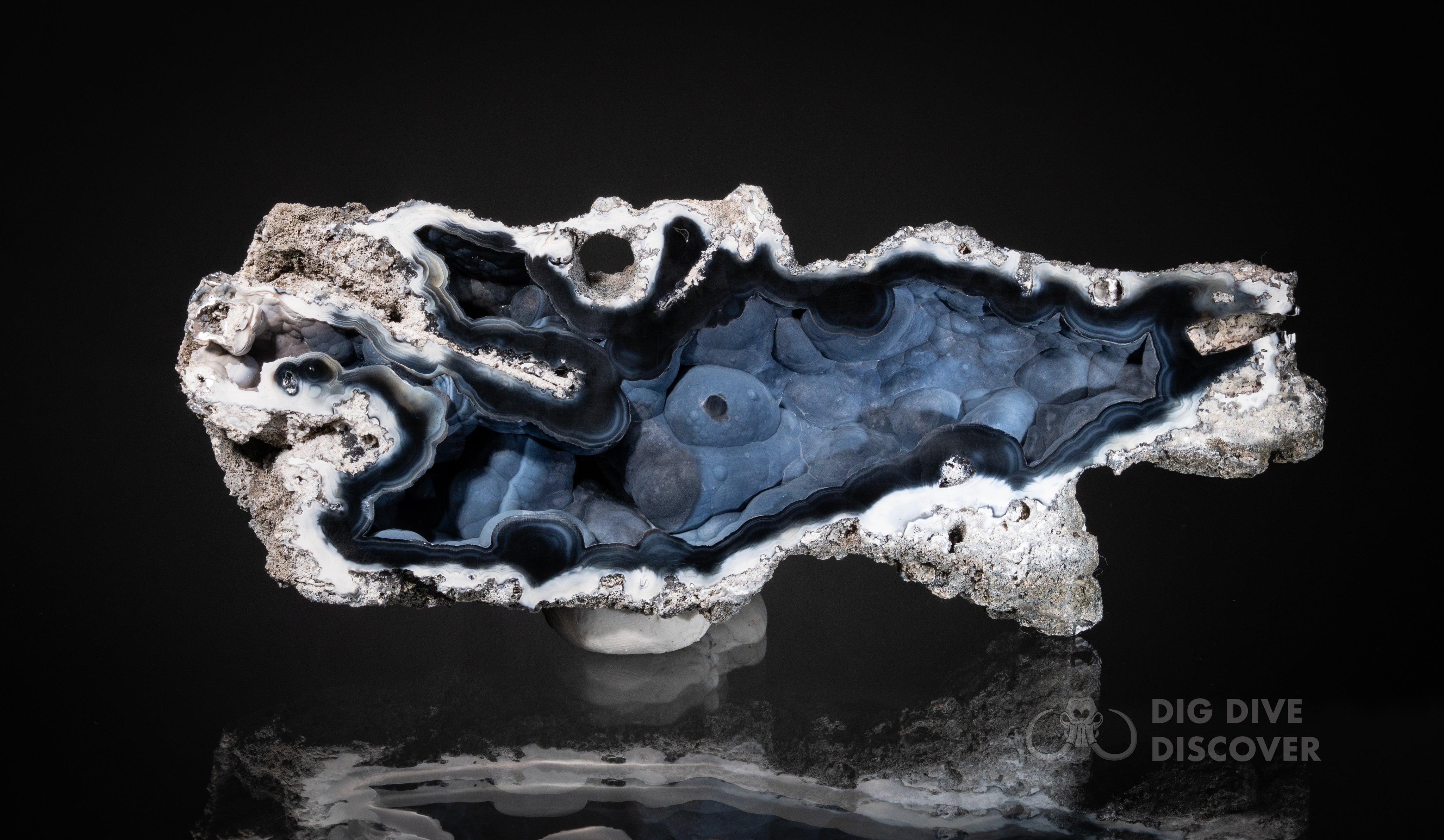 Fossil Agatized Coral Rare color Geode Cut & Polished