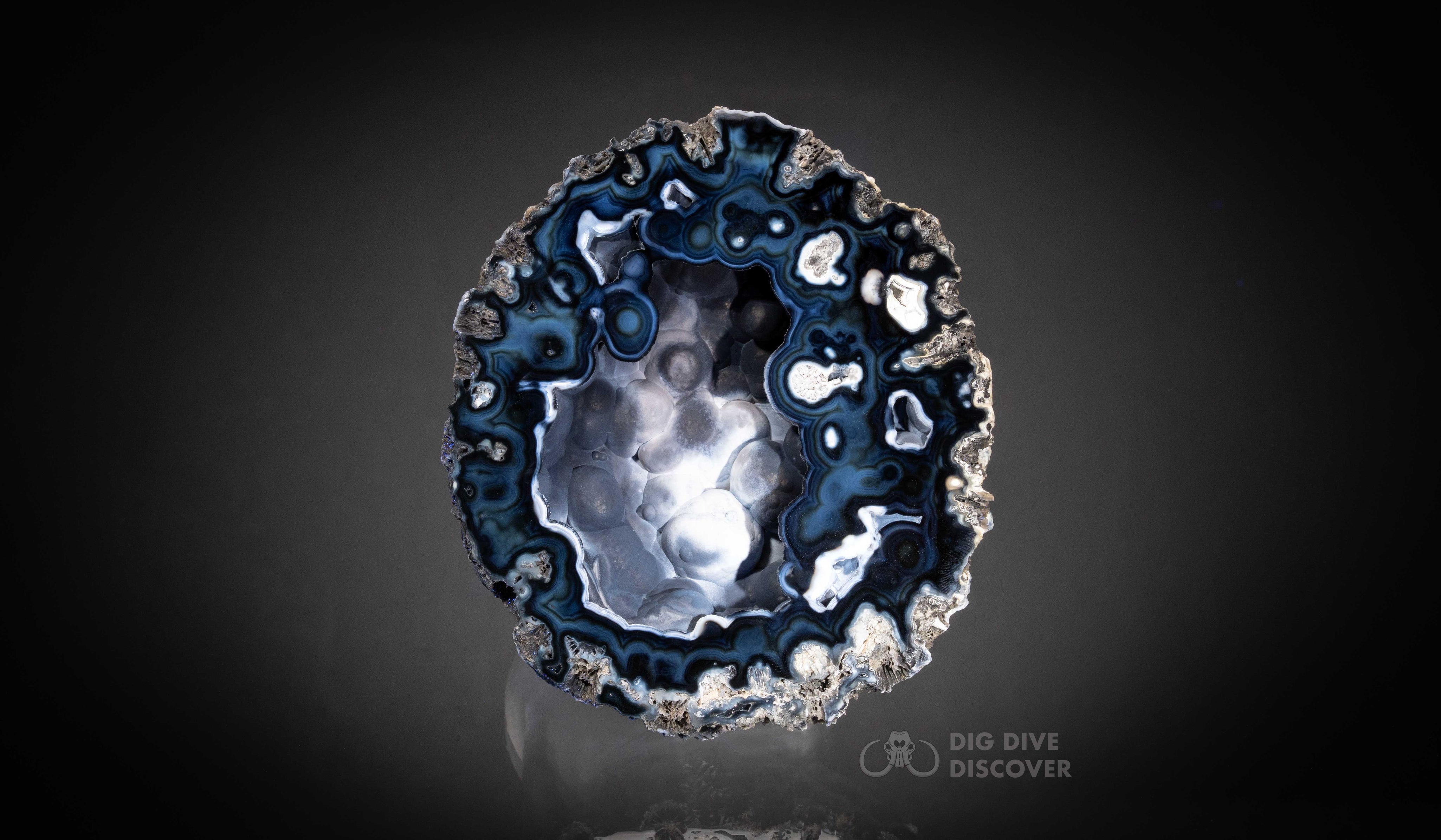 Coral Geode: Agatized Coral Fossil Coral