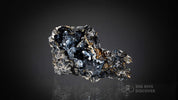 Coral Geode: Agatized Coral Fossil Coral