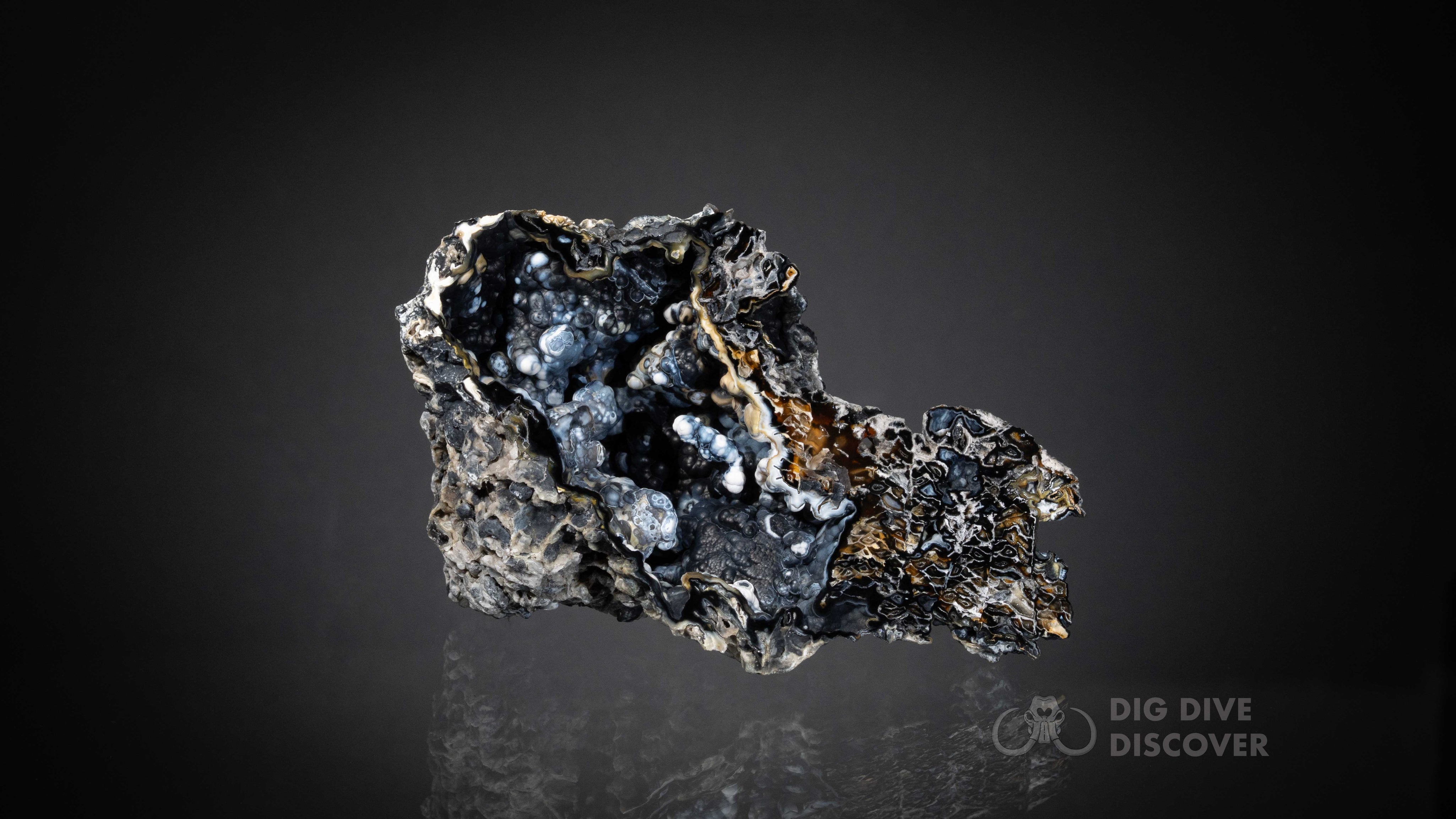 Coral Geode: Agatized Coral Fossil Coral