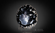 Coral Geode: Agatized Coral Fossil Coral