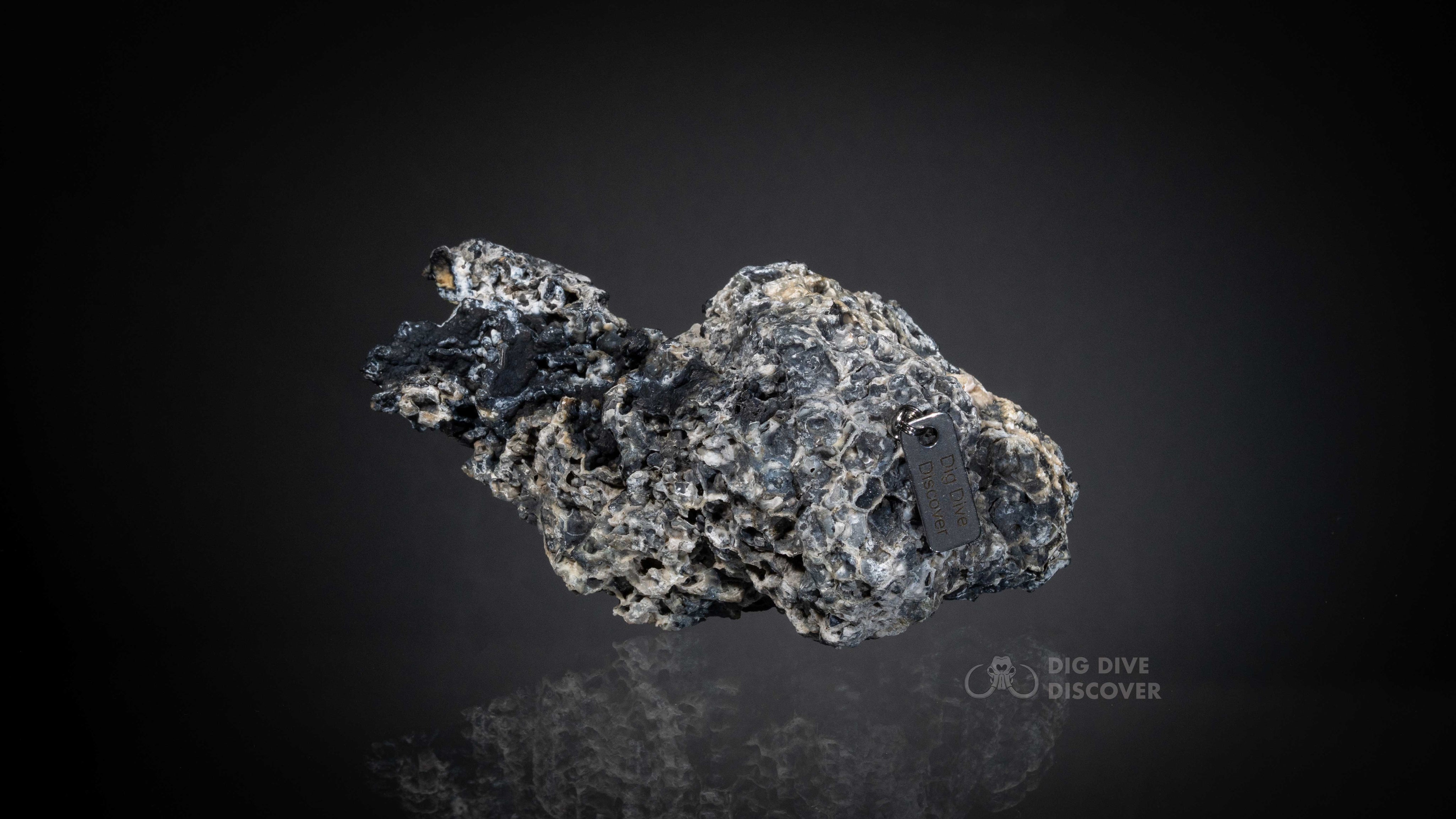 Coral Geode: Agatized Coral Fossil Coral