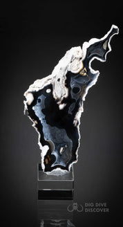 Coral Geode: Agatized Coral Fossil Coral