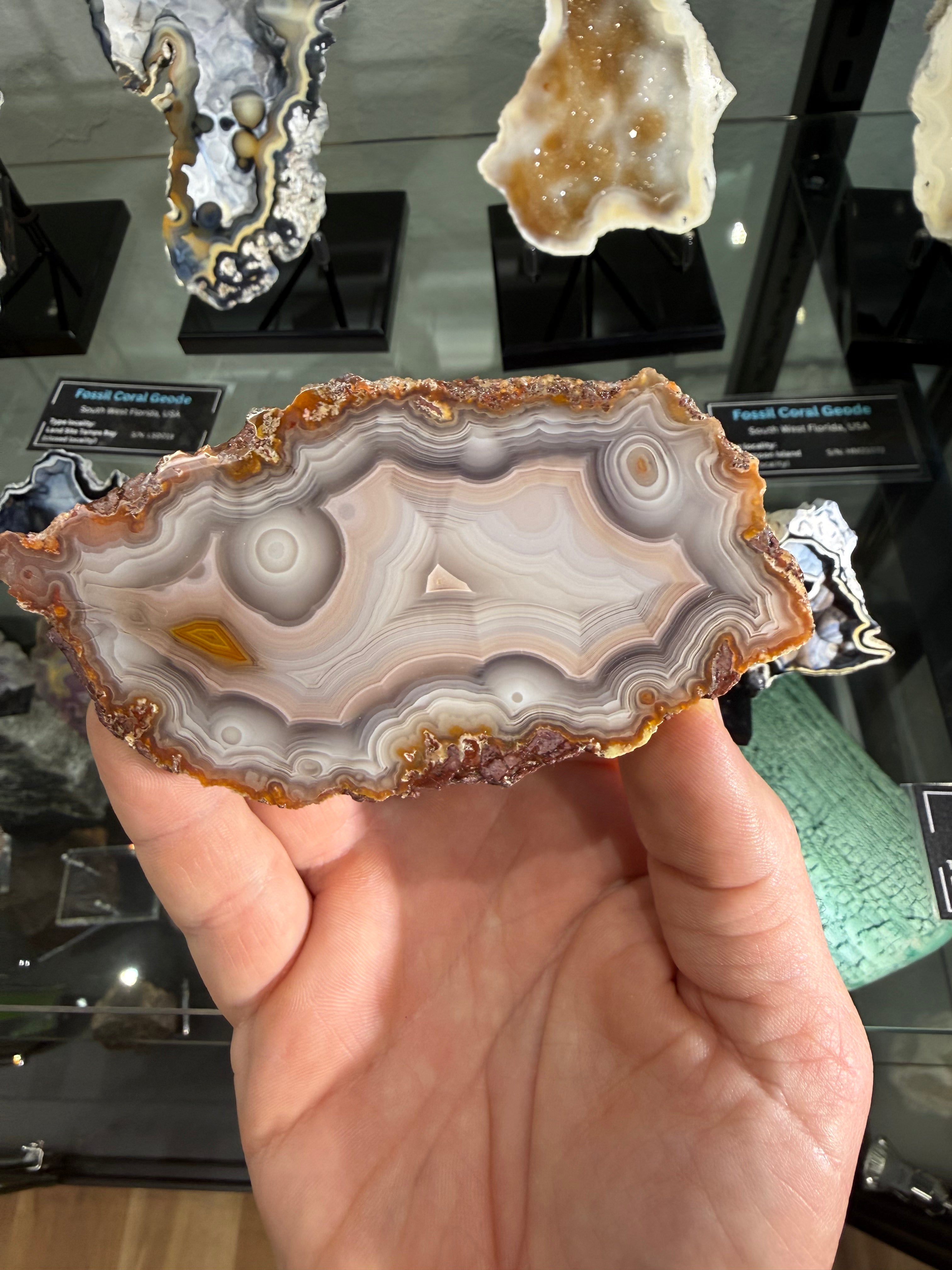 Laguna Agate