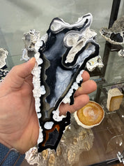 Fossil Agatized Coral Rare color Geode Cut & Polished