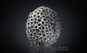 Coral Geode: Agatized Coral Fossil Coral