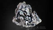 Fossil Agatized Coral Rare color Geode Cut & Polished