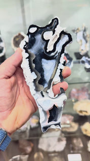 Fossil Agatized Coral Rare color Geode Cut & Polished